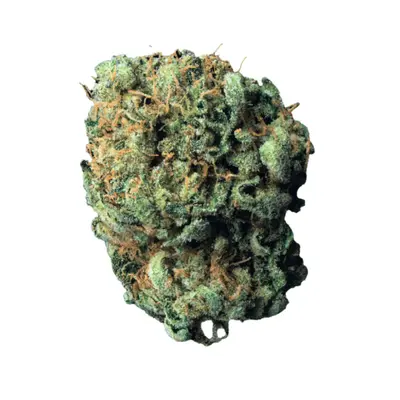 Origine Nature MED 30/1