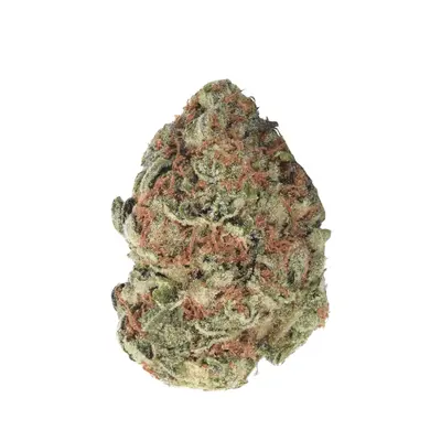 Remexian 30/1 TWE GBY