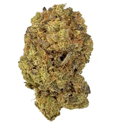 J.R.Strain Sudz 27/1